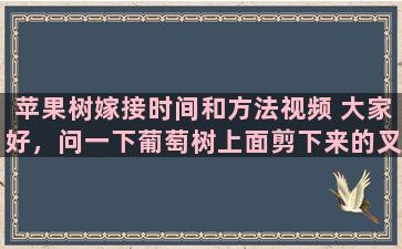 苹果树嫁接时间和方法视频 大家好，问一下葡萄树上面剪下来的叉能栽活吗栽活了能接葡萄吗